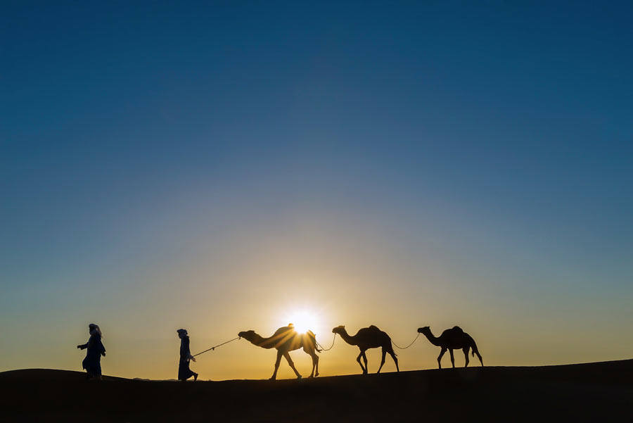 Passeio de Camelo no Deserto - Aventura nas Dunas do Saara