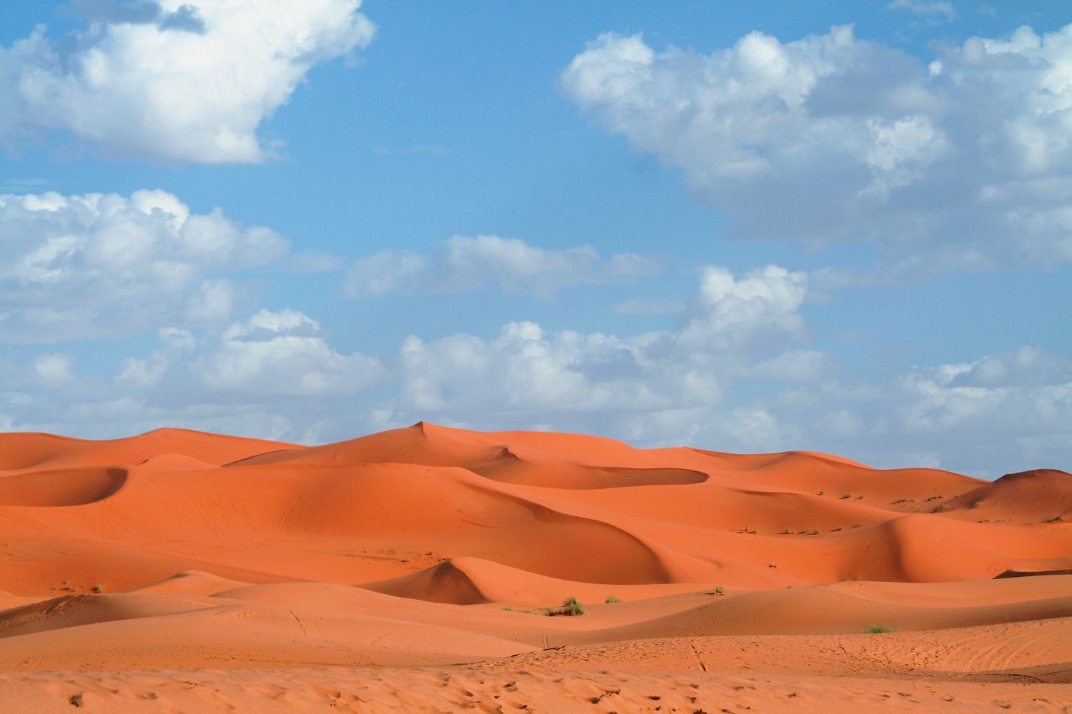 Erg Chebbi