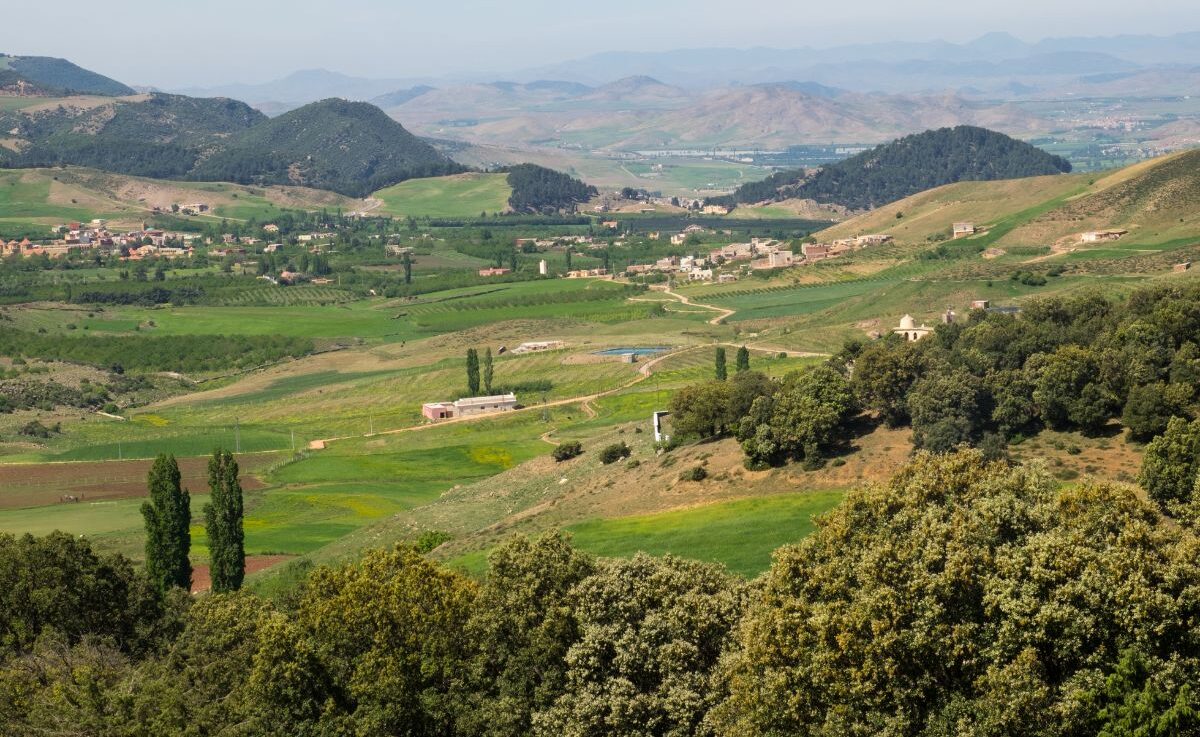 Parque Nacional de Ifrane Marrocos