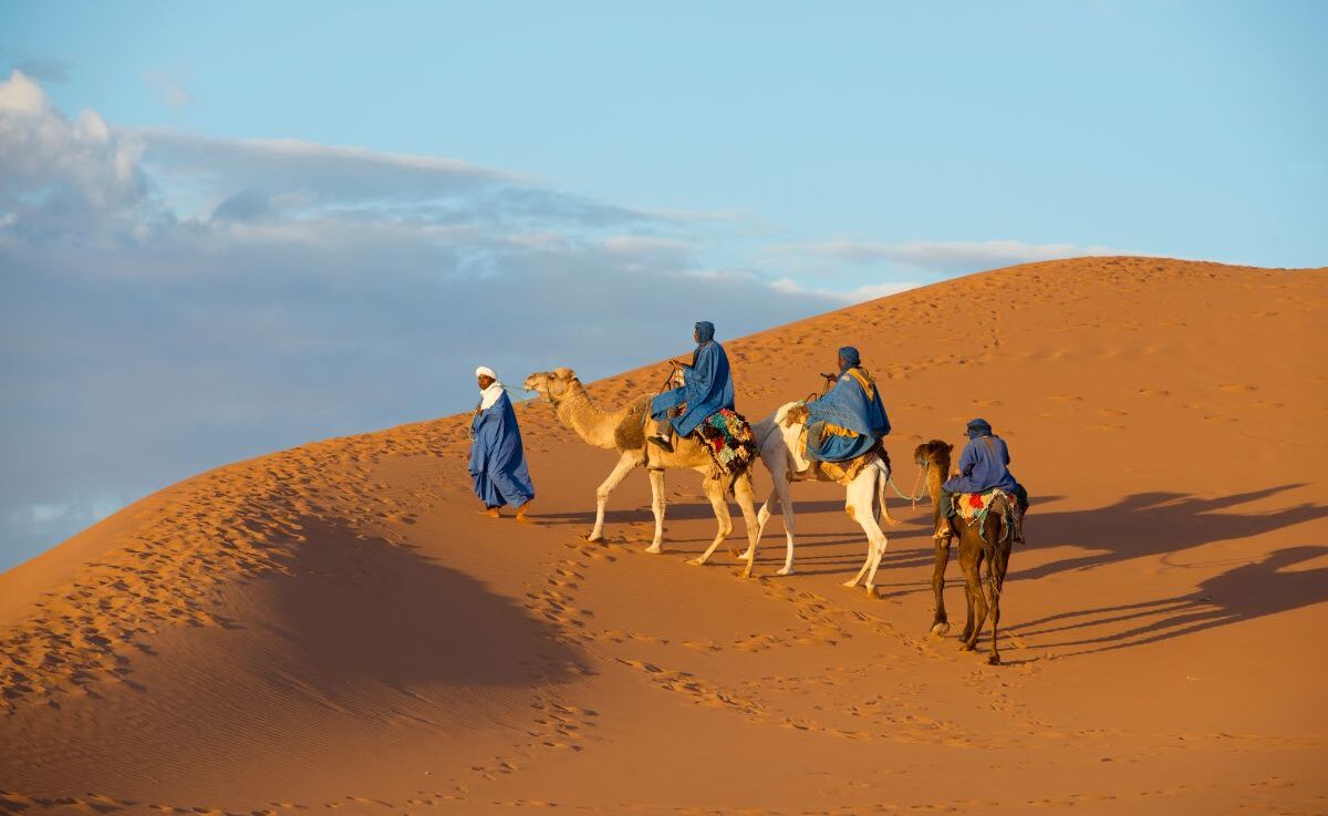 Passeio de Camelo no Deserto do Saara